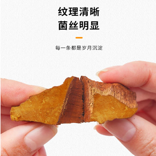 【杨芊一】桑黄200g/罐 商品图3