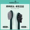 电动牙刷刷头3个升级版WX-ST08 商品缩略图1