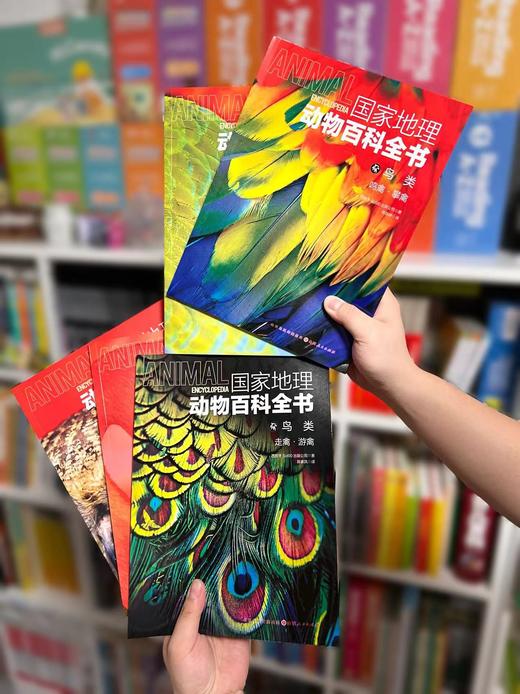 2.8折包邮！！！《guo家地理动物百科全书》（全20册） 西班牙原版引进，世界动物学家献给青少年的科普巨著 ， 商品图8