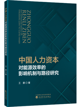 中国人力资本对能源效率的影响机制与路径研究