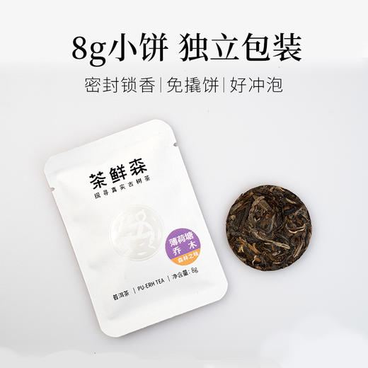 2023 薄荷塘乔木 森之味 拍3发4  8g小饼茶 16饼/盒 普洱茶 生茶 商品图1