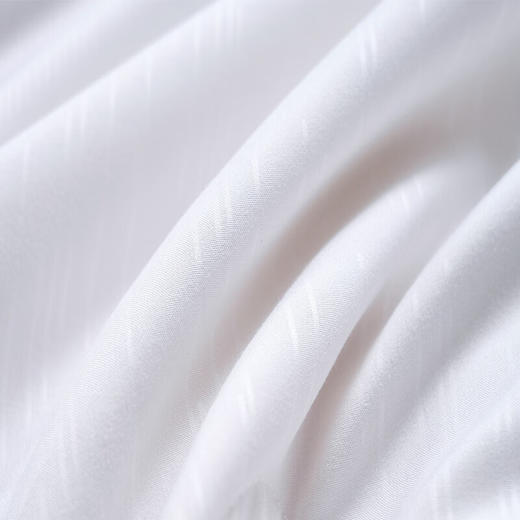 富安娜  雅悦蚕丝夏被 商品图4