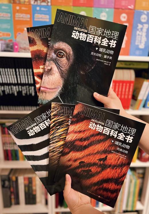 2.8折包邮！！！《guo家地理动物百科全书》（全20册） 西班牙原版引进，世界动物学家献给青少年的科普巨著 ， 商品图9