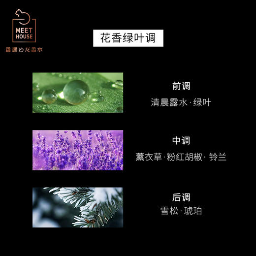 【2024秋季新品】浮梦薰衣草自然系列香薰液150ml 商品图2