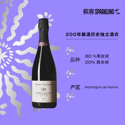 Pierre Paillard Les Parcelles XIX Bouzy Grand Cru 皮耶·帕亚酒庄布兹特级村精选香槟 375ml&750ml&1.5L&3L 商品图2