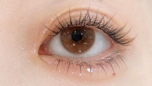 Flowercolor平价半年抛-原生瞳棕 商品图3