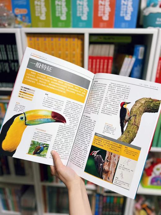 2.8折包邮！！！《guo家地理动物百科全书》（全20册） 西班牙原版引进，世界动物学家献给青少年的科普巨著 ， 商品图2