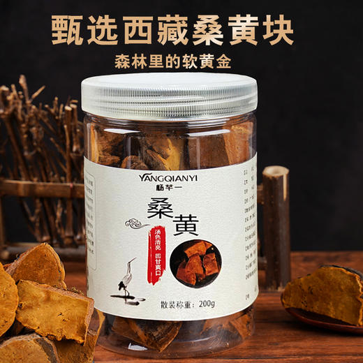 【杨芊一】桑黄200g/罐 商品图0