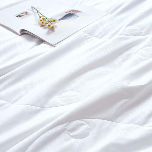 富安娜  雅悦蚕丝夏被 商品图1