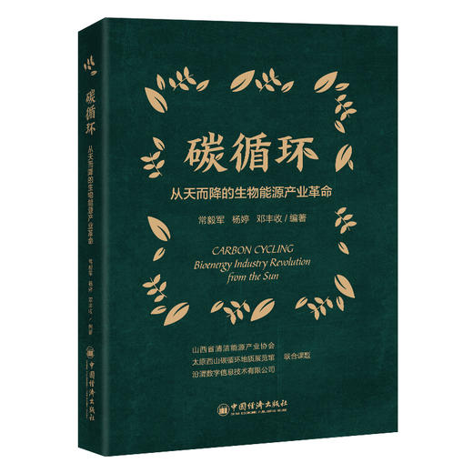 碳循环：从天而降的生物能源产业革命 碳循环，生物能源，产业革命 商品图0