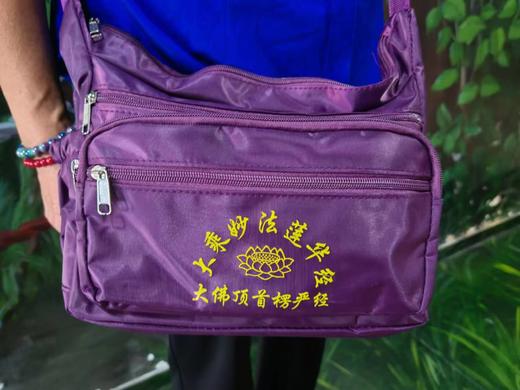 实惠款斜挎包 商品图1