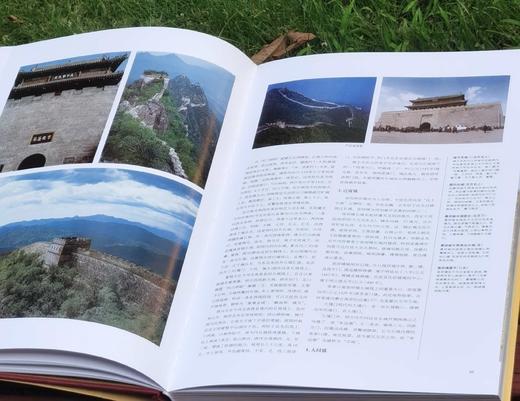 绝版！！！《中国古建筑大系》，8开函套装，全10册，中国建筑工业出版社2004年一版二印，定价4800，售价2699元。 商品图11