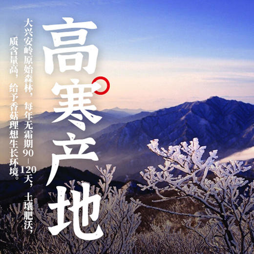 【北大荒】香菇 100g/袋 商品图2