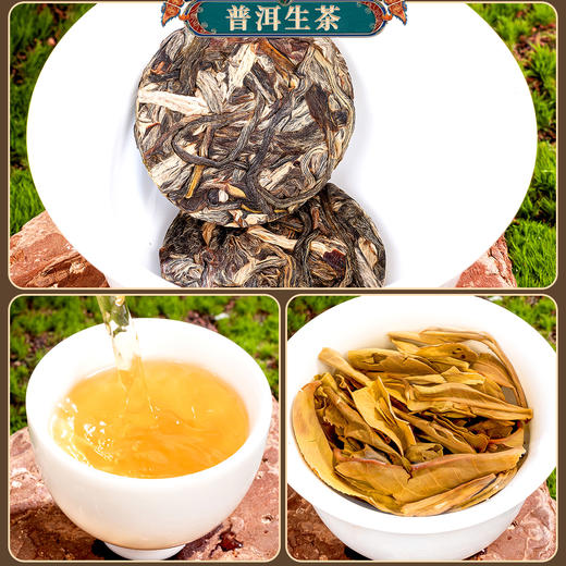 严选 | 有礼有福茶叶礼盒 普洱熟茶5个 普洱生茶5个 金骏眉红茶6罐 金奖正山小种6罐【赠：德化冰裂一壶四杯】 商品图6