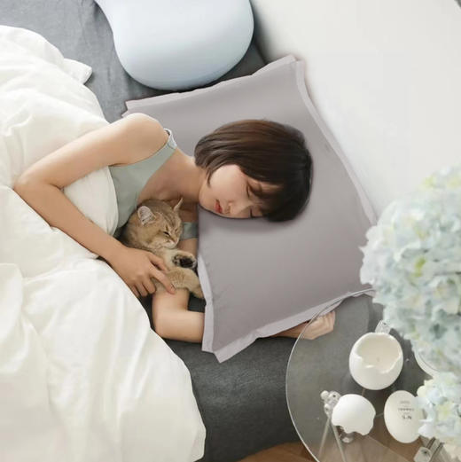 【斑马专属】睡出水嫩肌肤 柔顺秀发 钱皇桑蚕丝真丝枕套 +蛋白超柔枕头 19姆米重磅真丝枕套 防螨AB面 商品图4