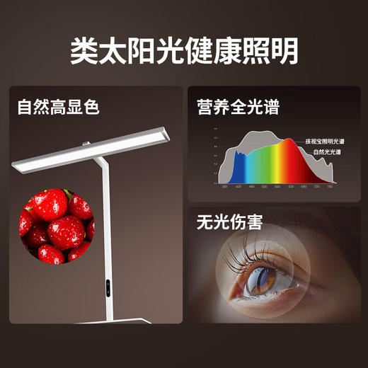 孩视宝长桌立式大路灯R01-70w 商品图3