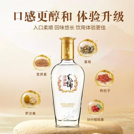 毛铺苦荞金荞6支42度 浓香型白酒整件6瓶装--jmw 商品图1