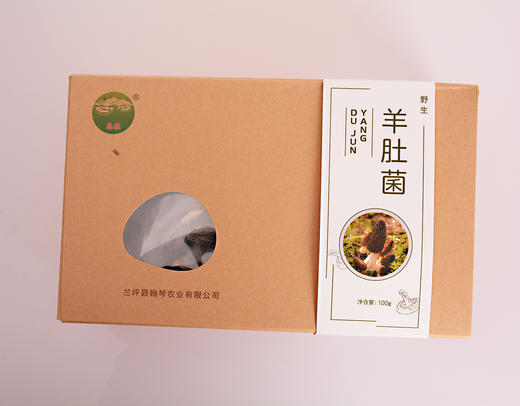 【云南省怒江州兰坪县】恩棋野生羊肚菌100g/盒 商品图0