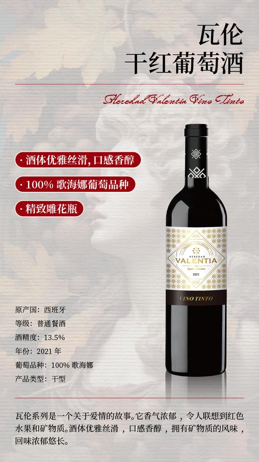 西班牙 瓦伦红葡萄酒 13.5 %vol  750ml*6瓶整箱发货-jmw 商品图1