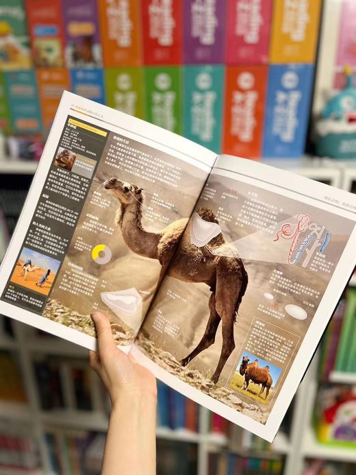 2.8折包邮！！！《guo家地理动物百科全书》（全20册） 西班牙原版引进，世界动物学家献给青少年的科普巨著 ， 商品图4