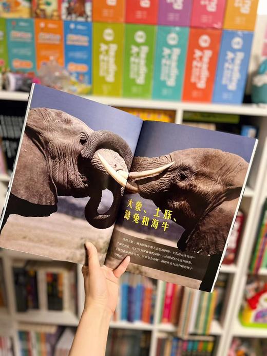 2.8折包邮！！！《guo家地理动物百科全书》（全20册） 西班牙原版引进，世界动物学家献给青少年的科普巨著 ， 商品图3