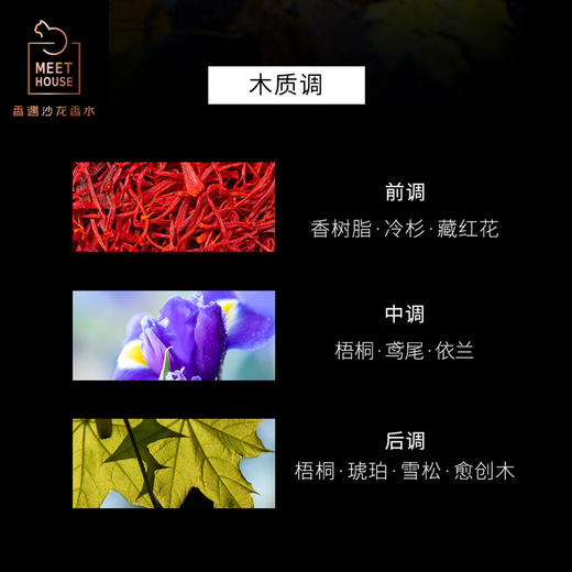 【2024秋季新品】梧桐影木自然系列香薰液150ml 商品图2