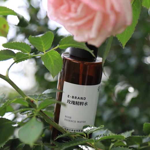 菜头商城 玫瑰精粹水、天竺葵精粹水 新升级大包装（每瓶净含量：200ml） 商品图0
