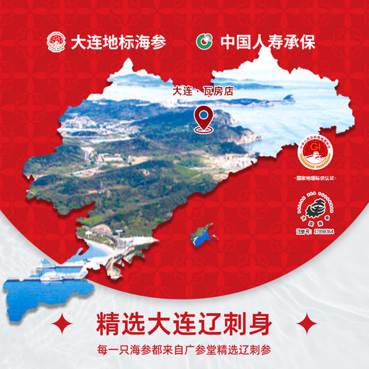 【即食海参】炖海参 真材慢补 每日轻养 商品图3