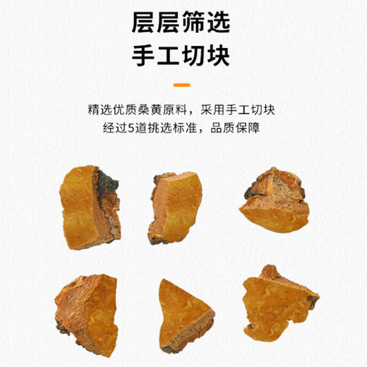 【杨芊一】桑黄200g/罐 商品图4