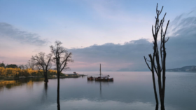 积善之家，福庆有余