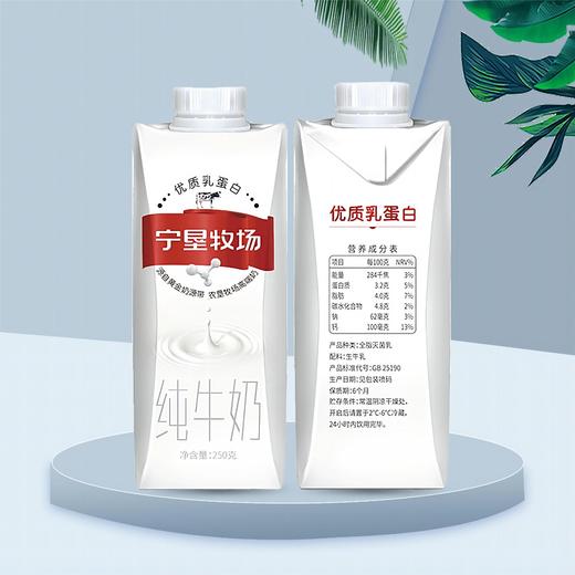 【宁垦牧场】纯牛奶 250g*10盒 一箱or三箱 商品图4