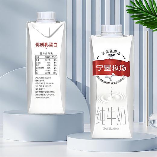 【宁垦牧场】纯牛奶 250g*10盒 一箱or三箱 商品图3