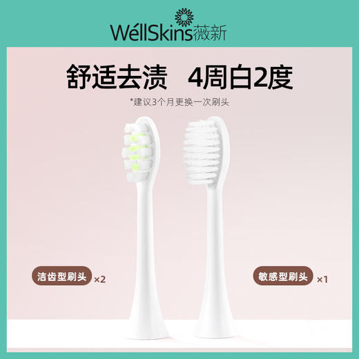 电动牙刷刷头3个标准版  WX-ST11 商品图1