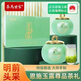 茶马世家早春特级恩施玉露龙腾系高端商务礼盒200g