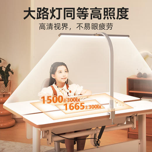 孩视宝长桌立式大路灯-F-36W 商品图2