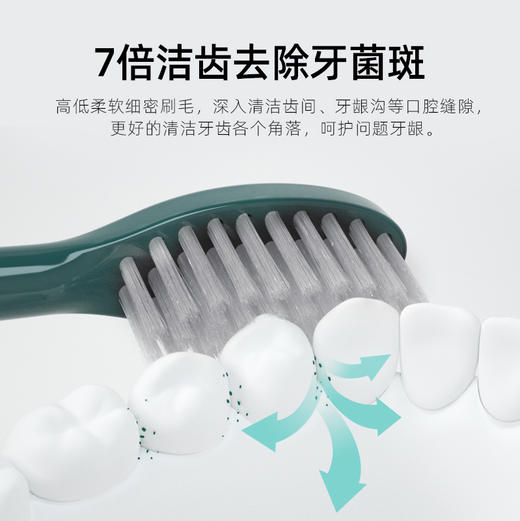 电动牙刷刷头3个升级版WX-ST08 商品图3