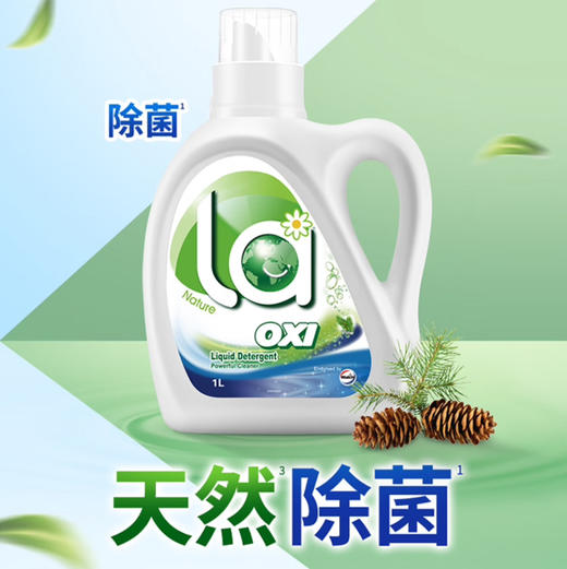 威露士洗衣液1L（仅供济南市区） 商品图0