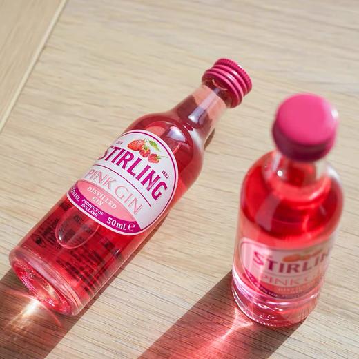 荷兰萨格利粉红金酒50ML 商品图2