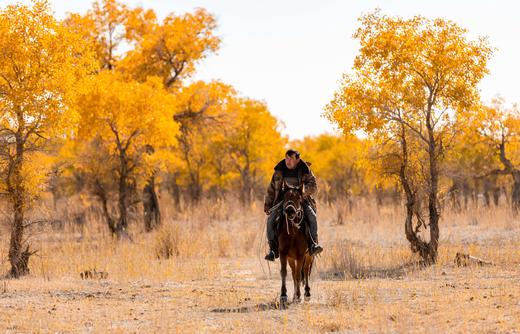 北疆不止喀纳斯——阿勒泰秋色绮旅7天6晚 商品图4