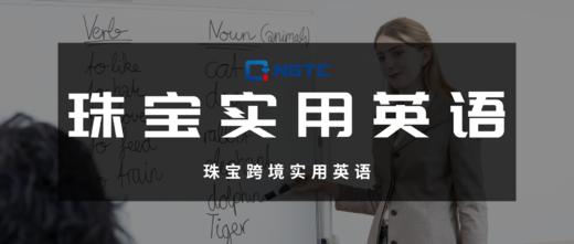 珠宝跨境实用英语 商品图0