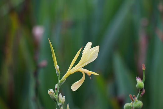 56，从中医的角度，聊聊“逛公园” 商品图0