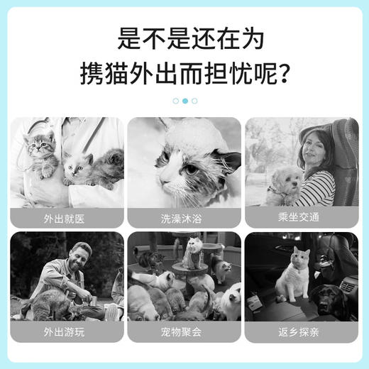 宠德奇猫包双肩便携透明猫包 商品图1