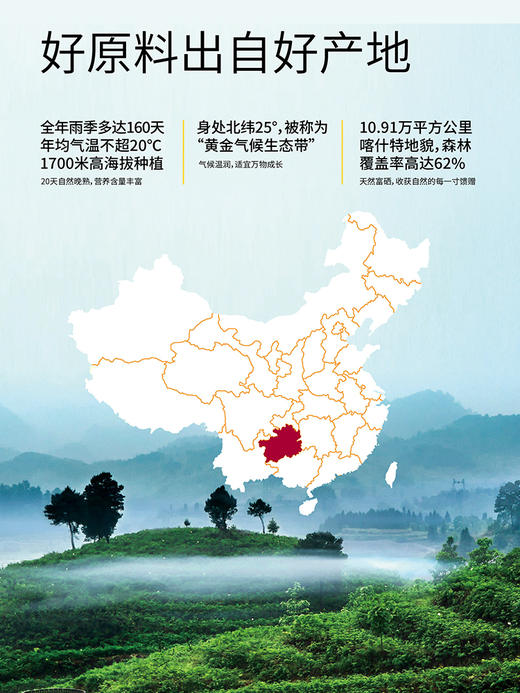 【贵州毕节特产】态集3+有机刺梨原液量贩装 贵州毕节刺梨原汁原浆纯果汁30ml*15袋 商品图3