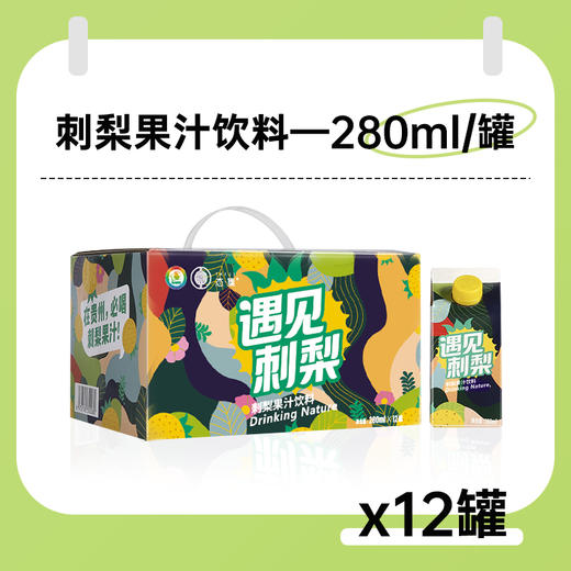 【贵州毕节特产】贵州特产毕节七星关区刺梨冷榨果汁饮料富含vc 无添加剂 0色素 商品图4