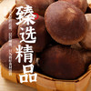 【北大荒】香菇 100g/袋 商品缩略图3