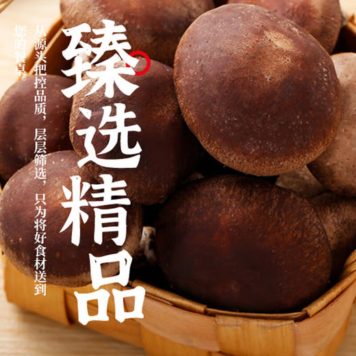 【北大荒】香菇 100g/袋 商品图3