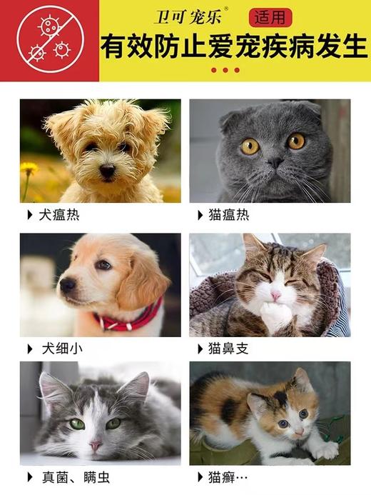 卫可宠乐 商品图0