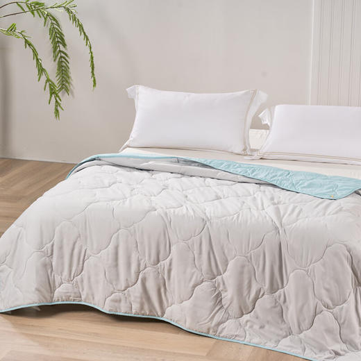 富安娜  净柔夏被-兰语·灰203*229cm(370g) 商品图1