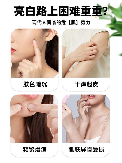 【贵州毕节特产】态集有机刺梨贵州蜜柚鲜果双C饮50ml无添加剂0脂SOD刺梨原液 商品图2