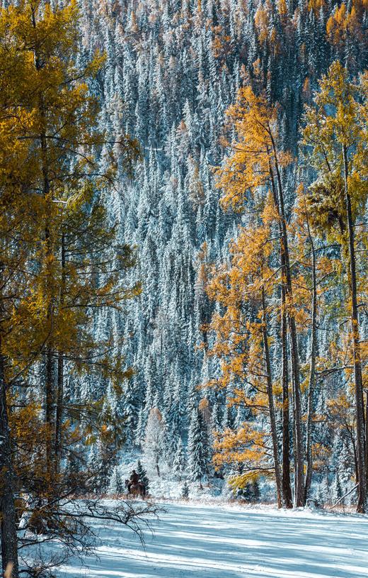 北疆不止喀纳斯——阿勒泰秋色绮旅7天6晚 商品图2